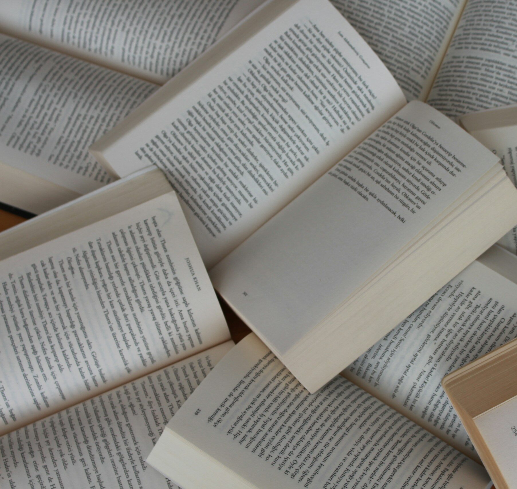 If it was possible, I would plant a book like wheat on every inch of land.